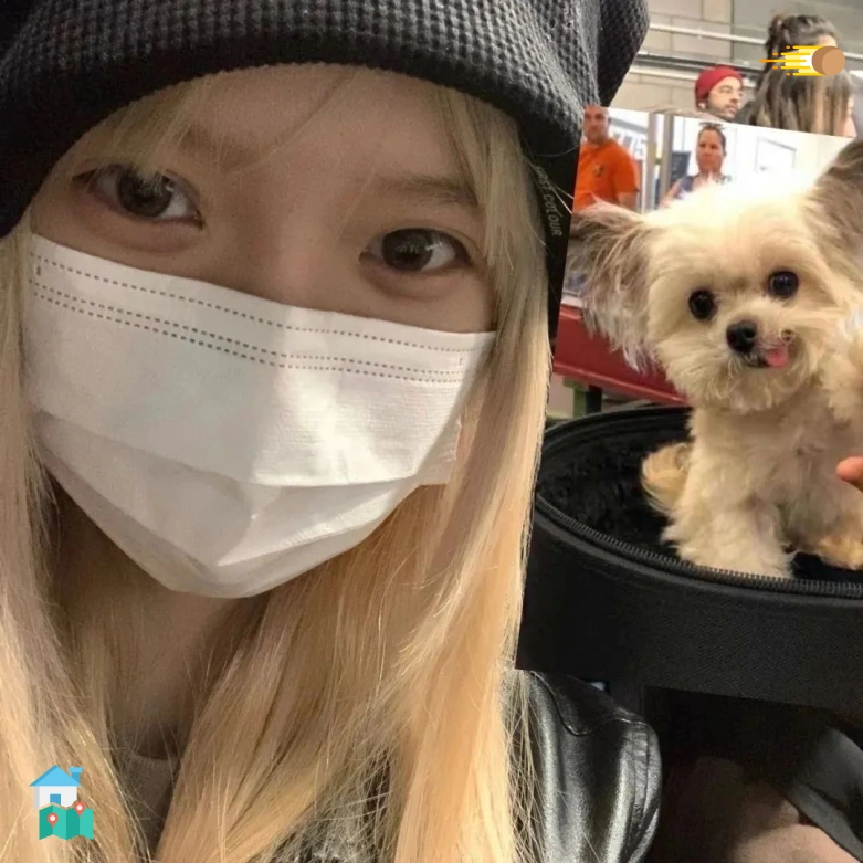 守候世界杯（广东省）